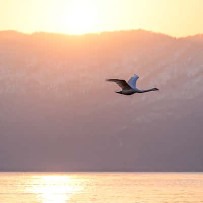 Lake Kushiro, Japan