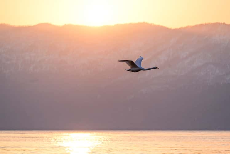 Lake Kushiro