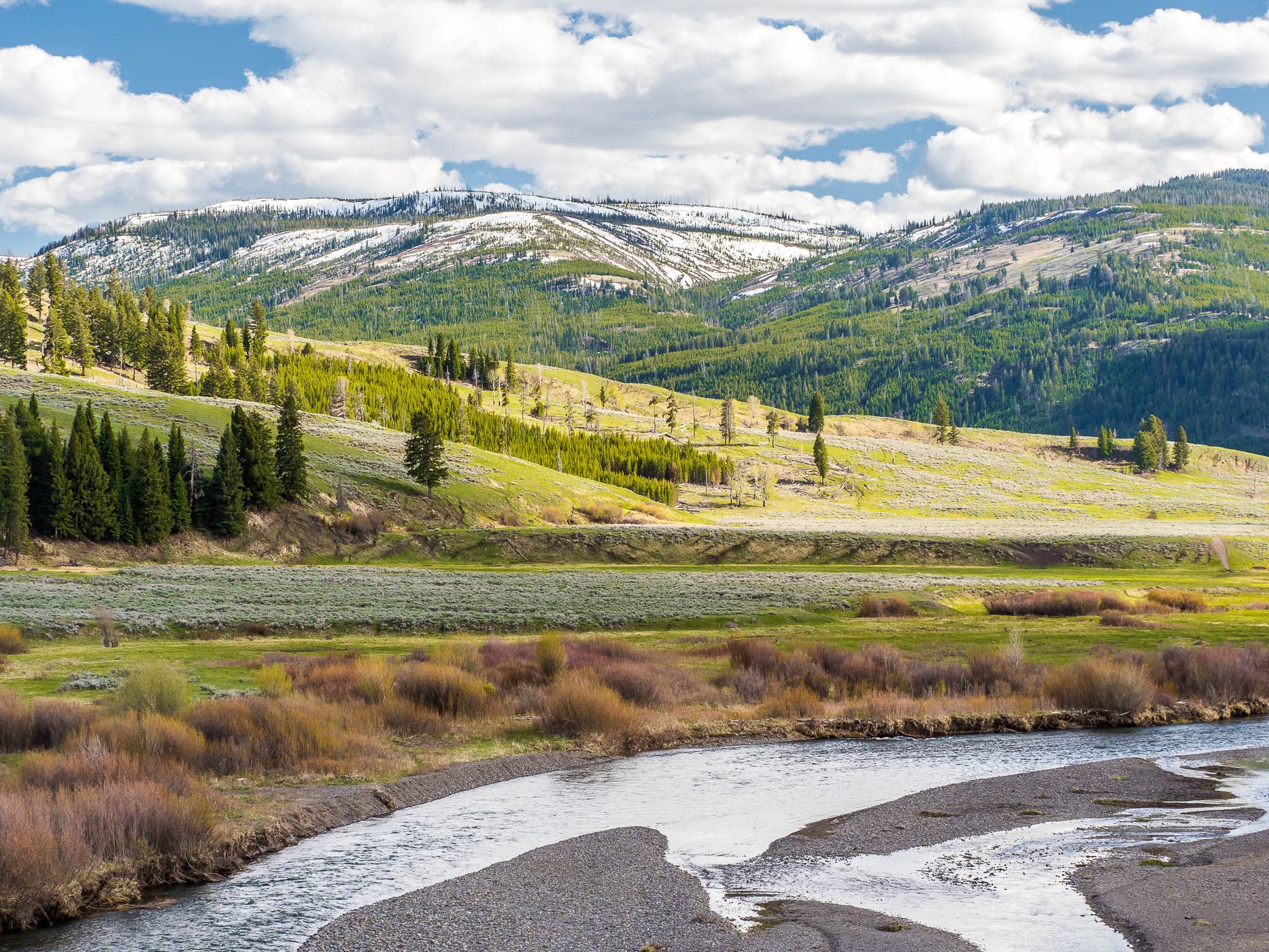 Lamar Valley, USA