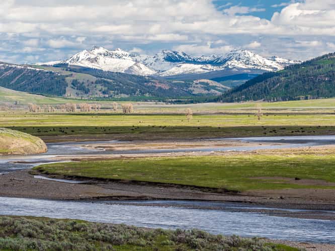 Lamar Valley