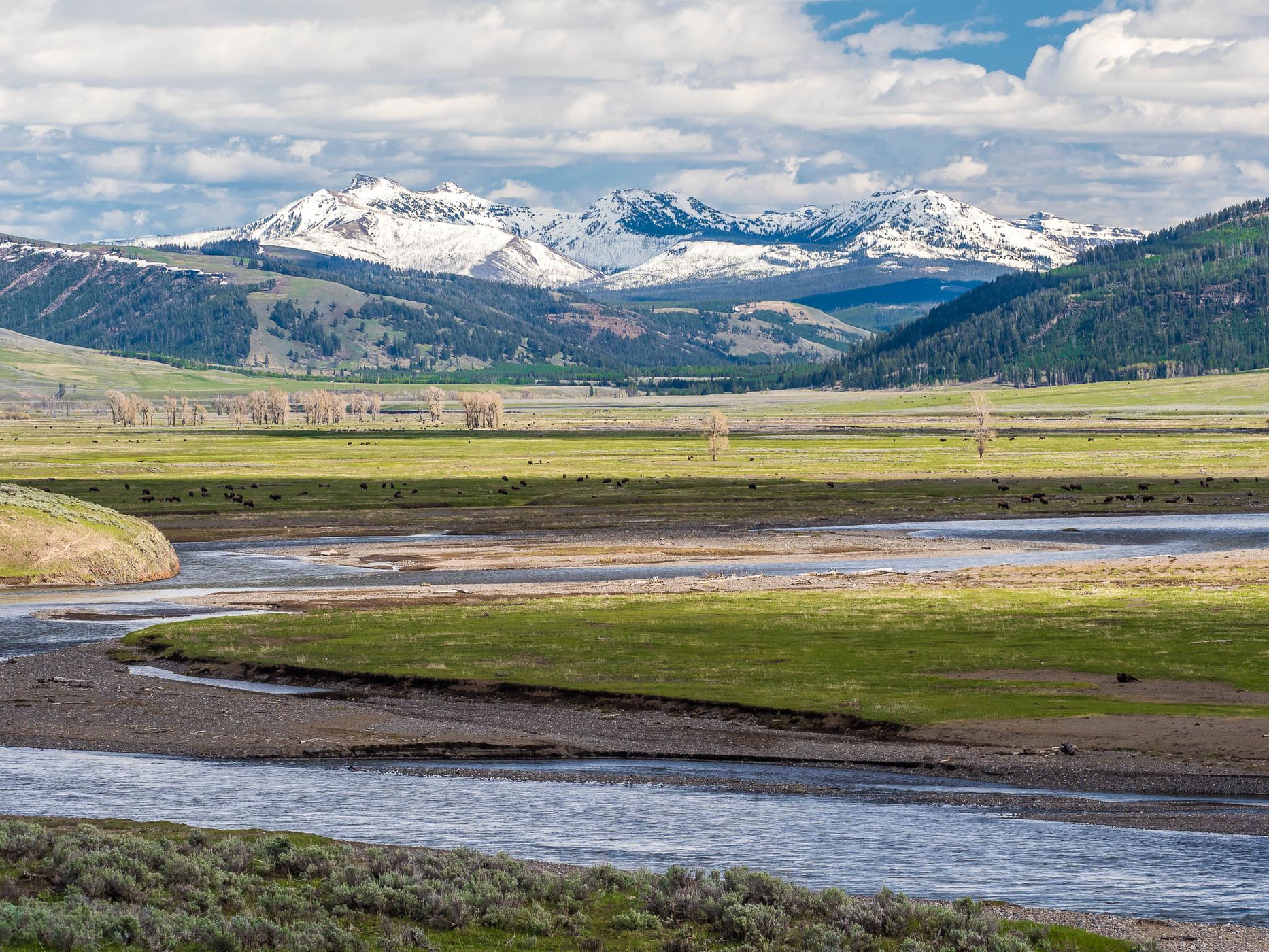 Lamar Valley, USA