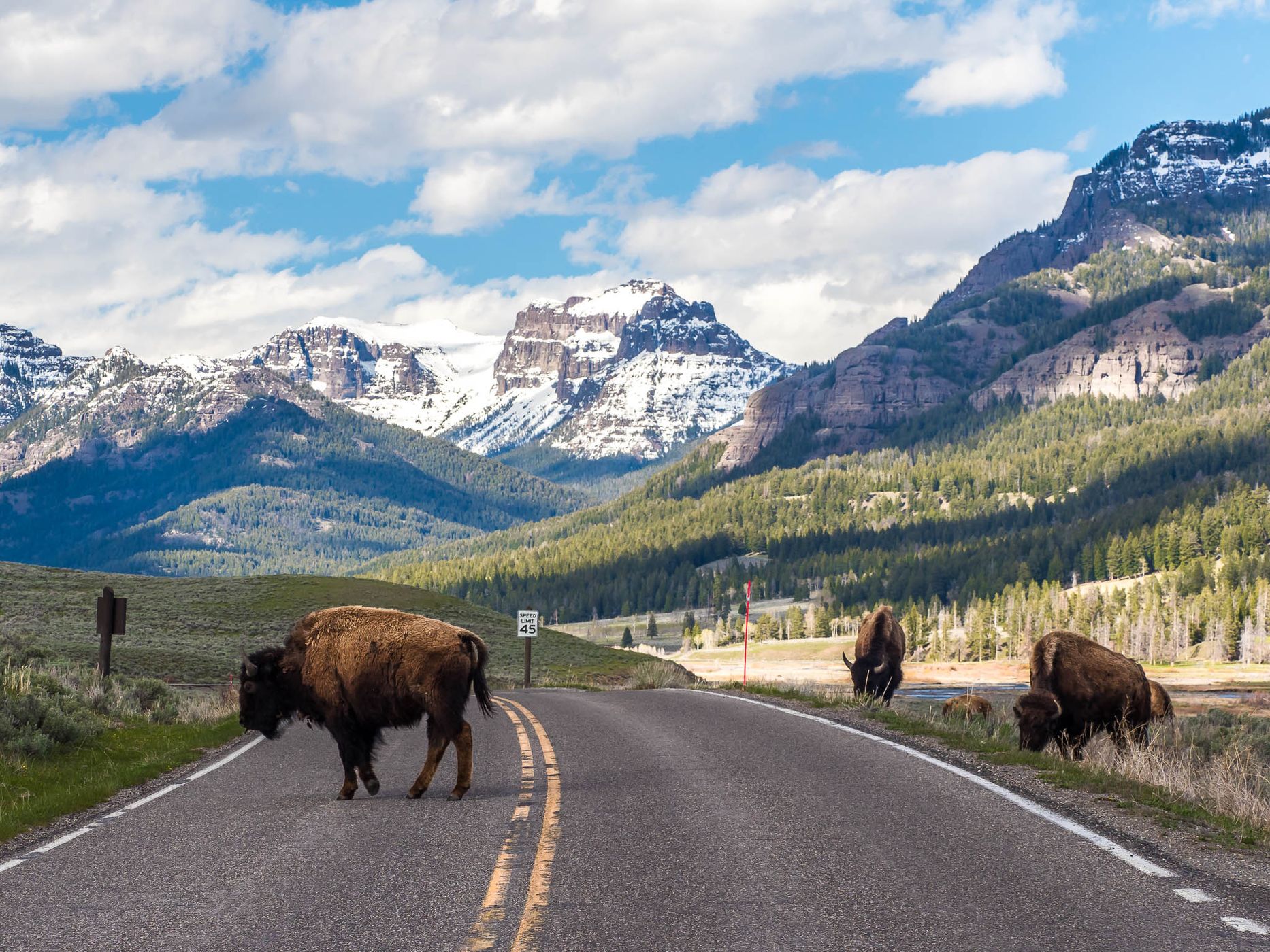 Lamar Valley, USA