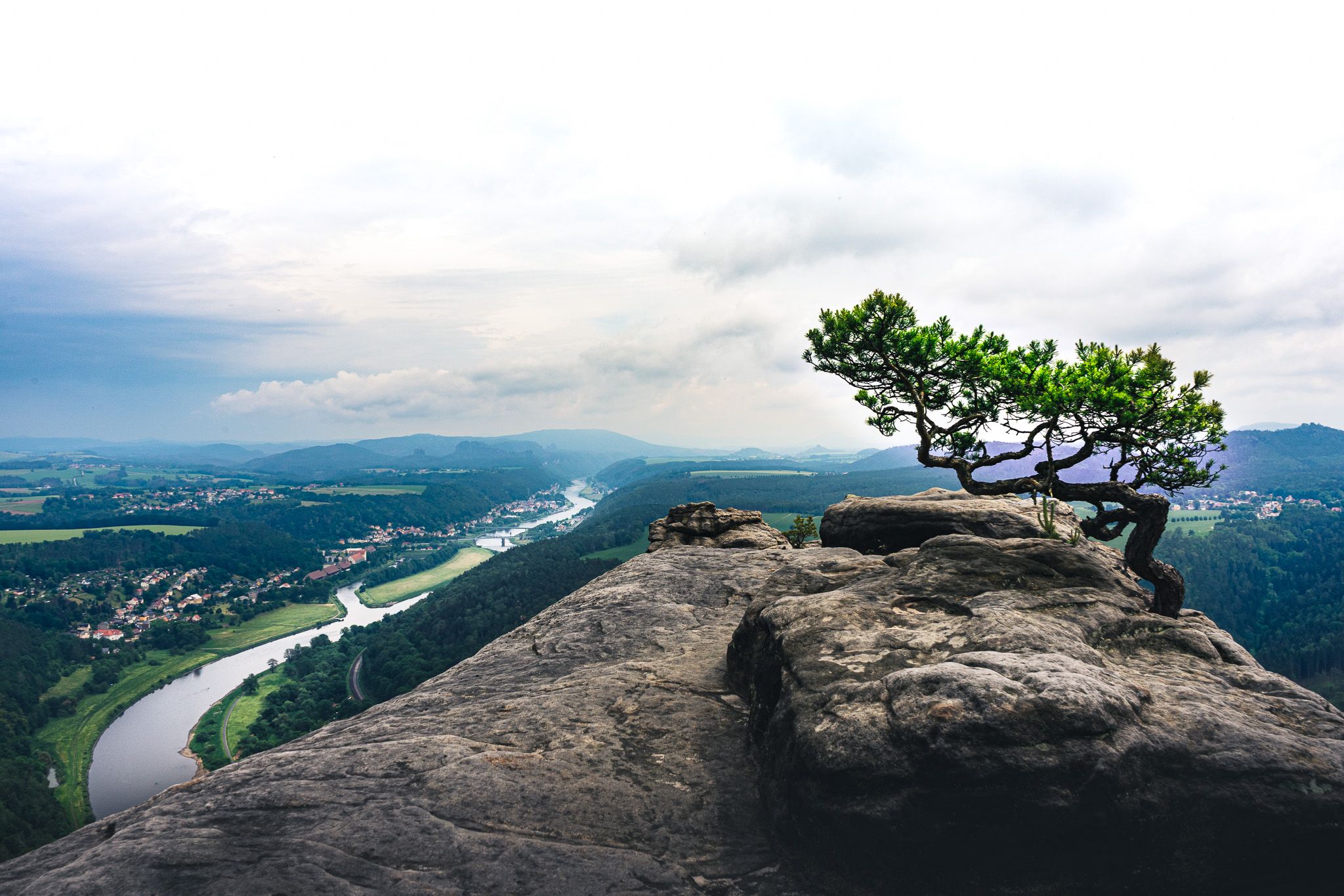 Lilienstein - Wetterkiefer, Germany