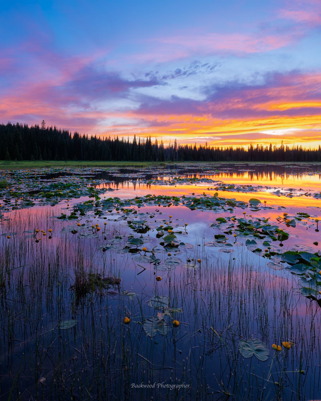 Lily Lake, USA