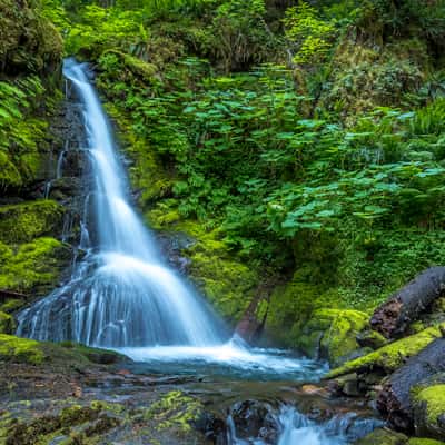 Little Skate Falls, USA