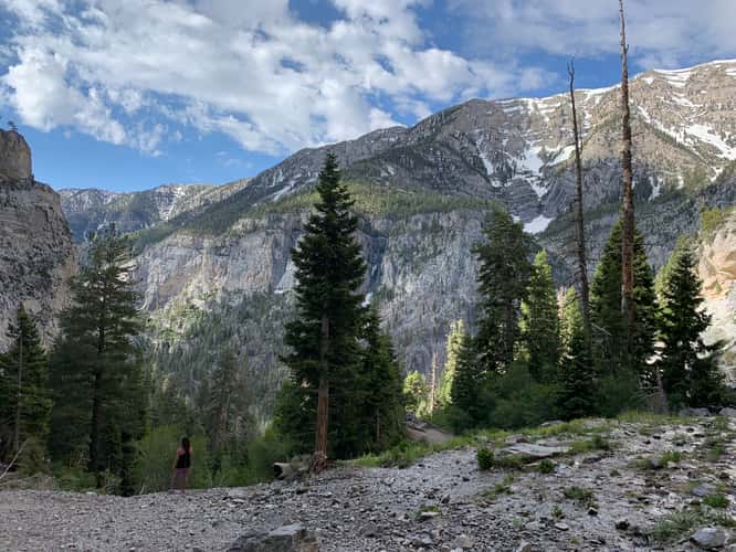 Mary Jane Falls