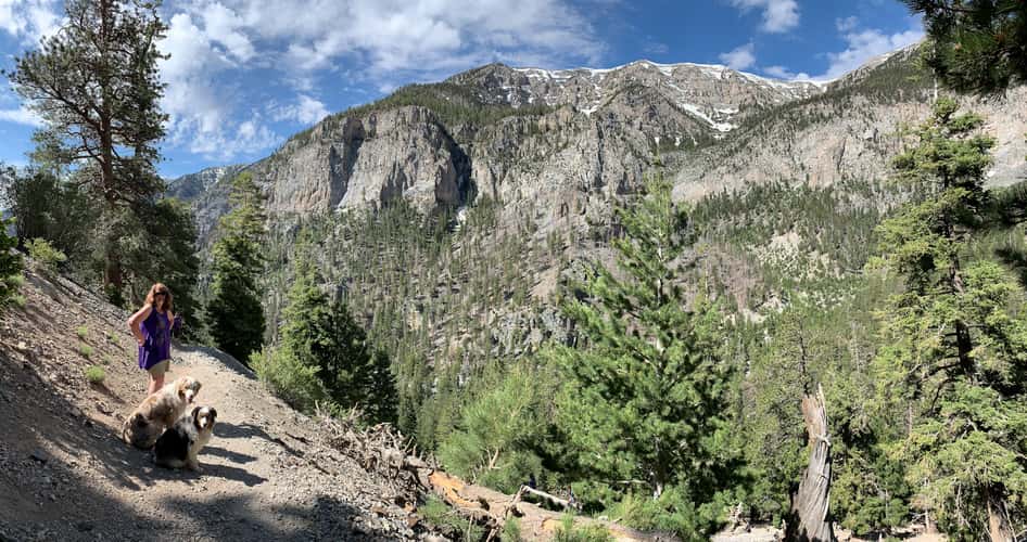 Mary Jane Falls