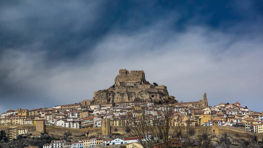 Morella