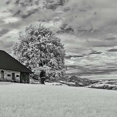 Old farmhouse in the Alpine foothills, Austria