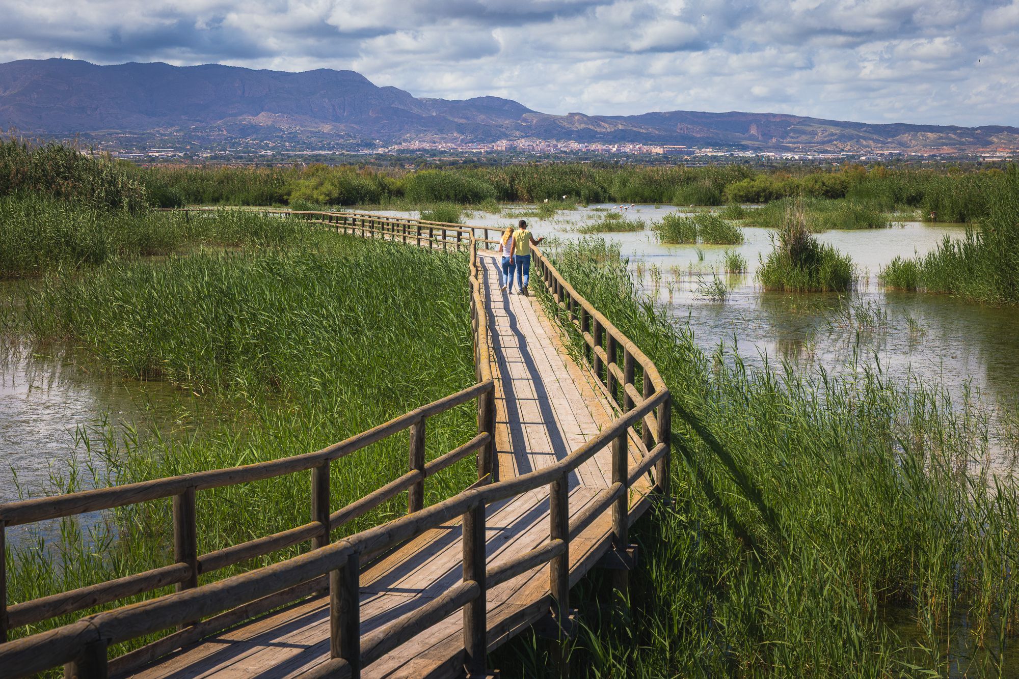Parc Natural El Fondo d'Elx-Crevillent, Spain