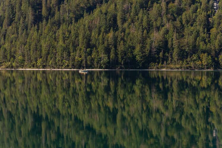 Plansee