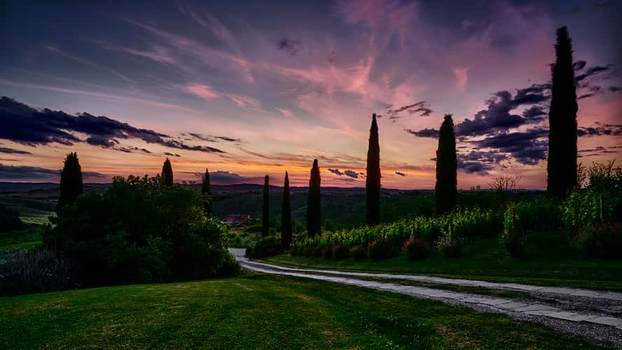 Podere Cunina (Buonconvento)