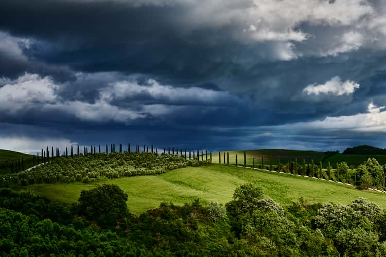 Podere Cunina (Buonconvento)