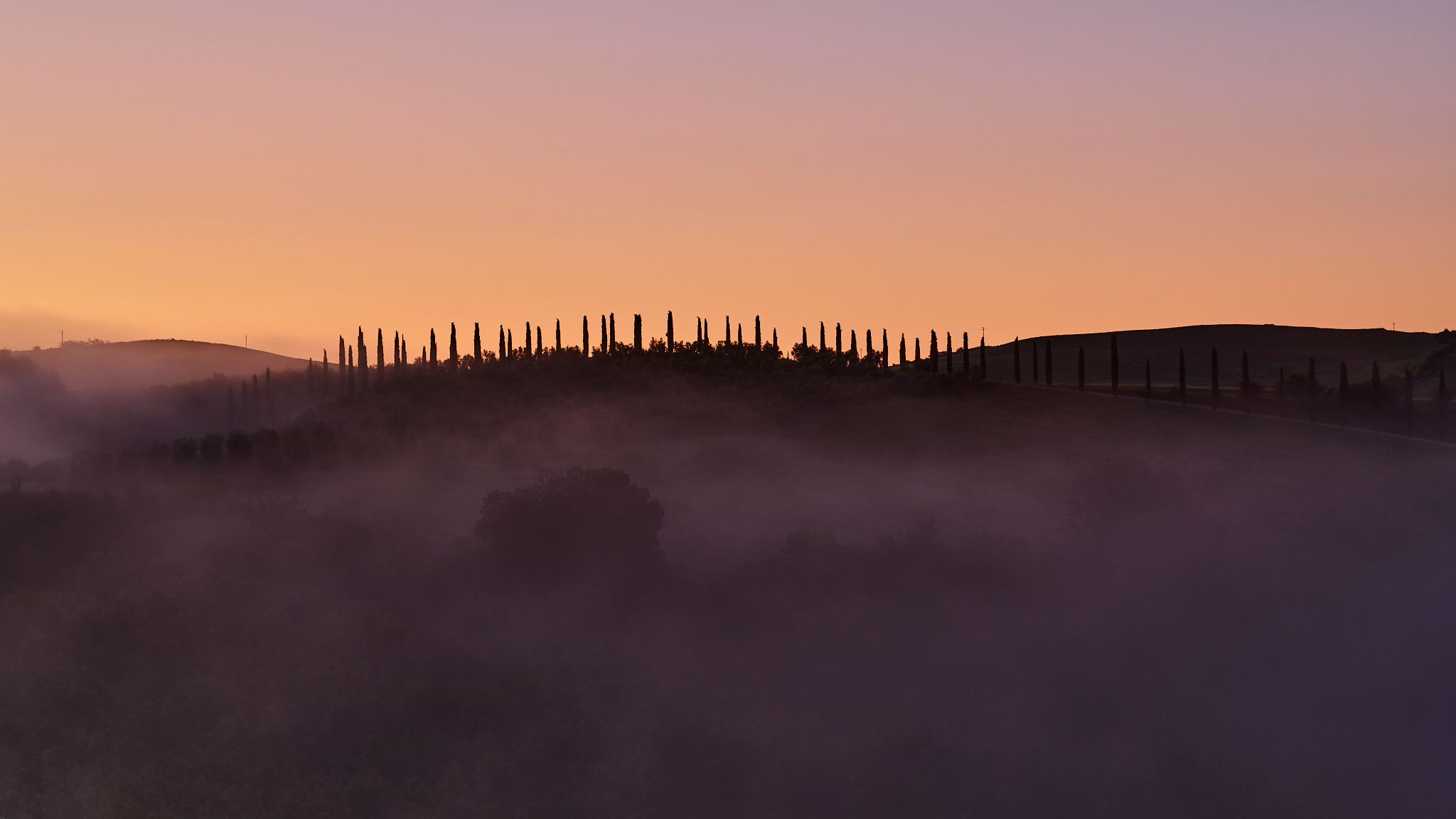 Podere Cunina (Buonconvento), Italy
