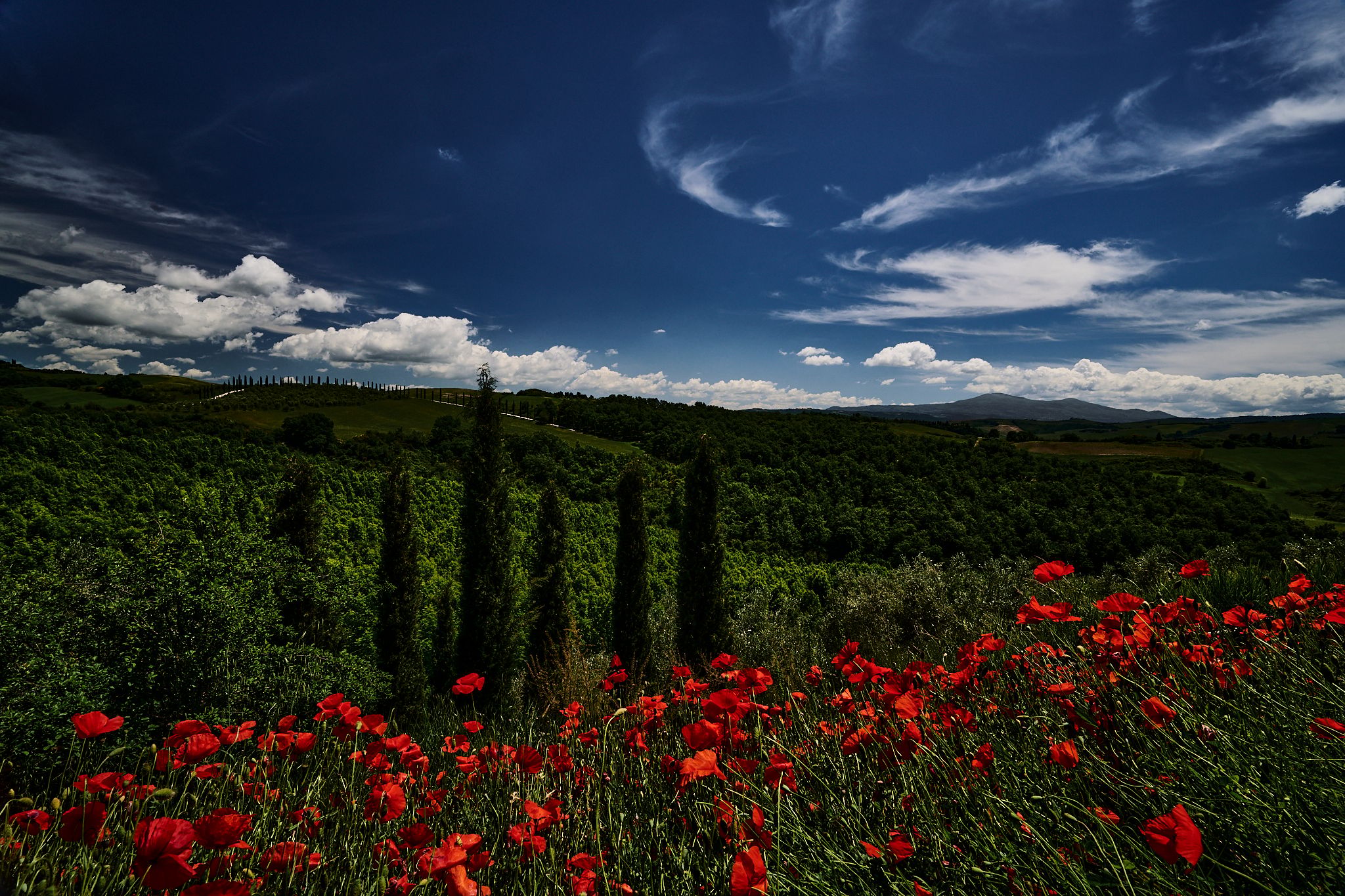 Podere Cunina (Buonconvento), Italy