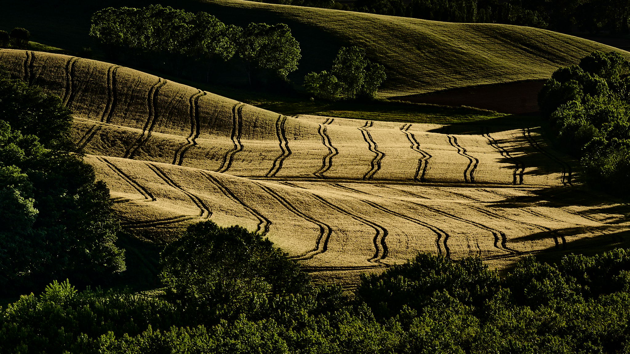 Podere Cunina (Buonconvento), Italy