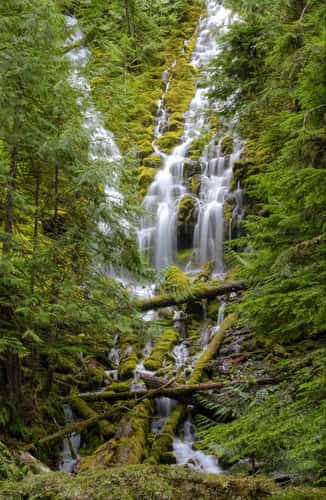 Proxy Falls