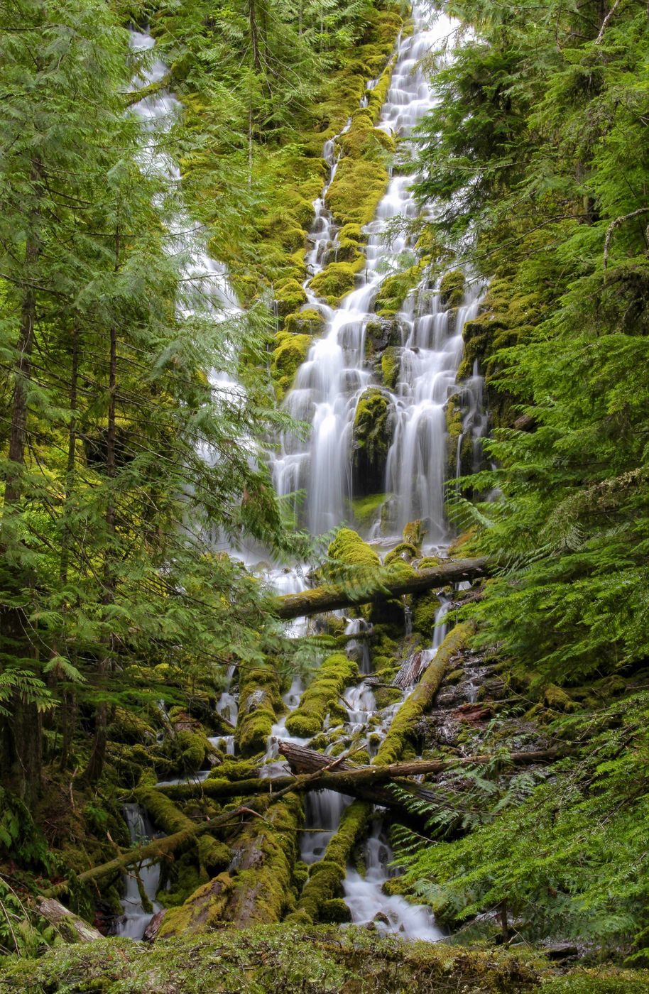 Proxy Falls, USA