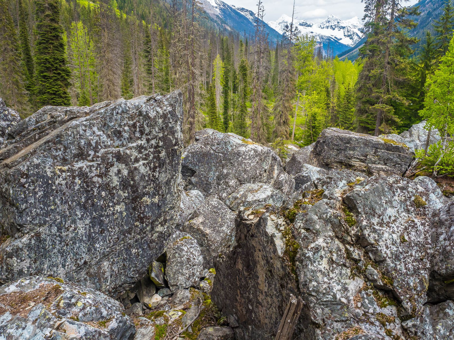Rock Garden Trail, Canada