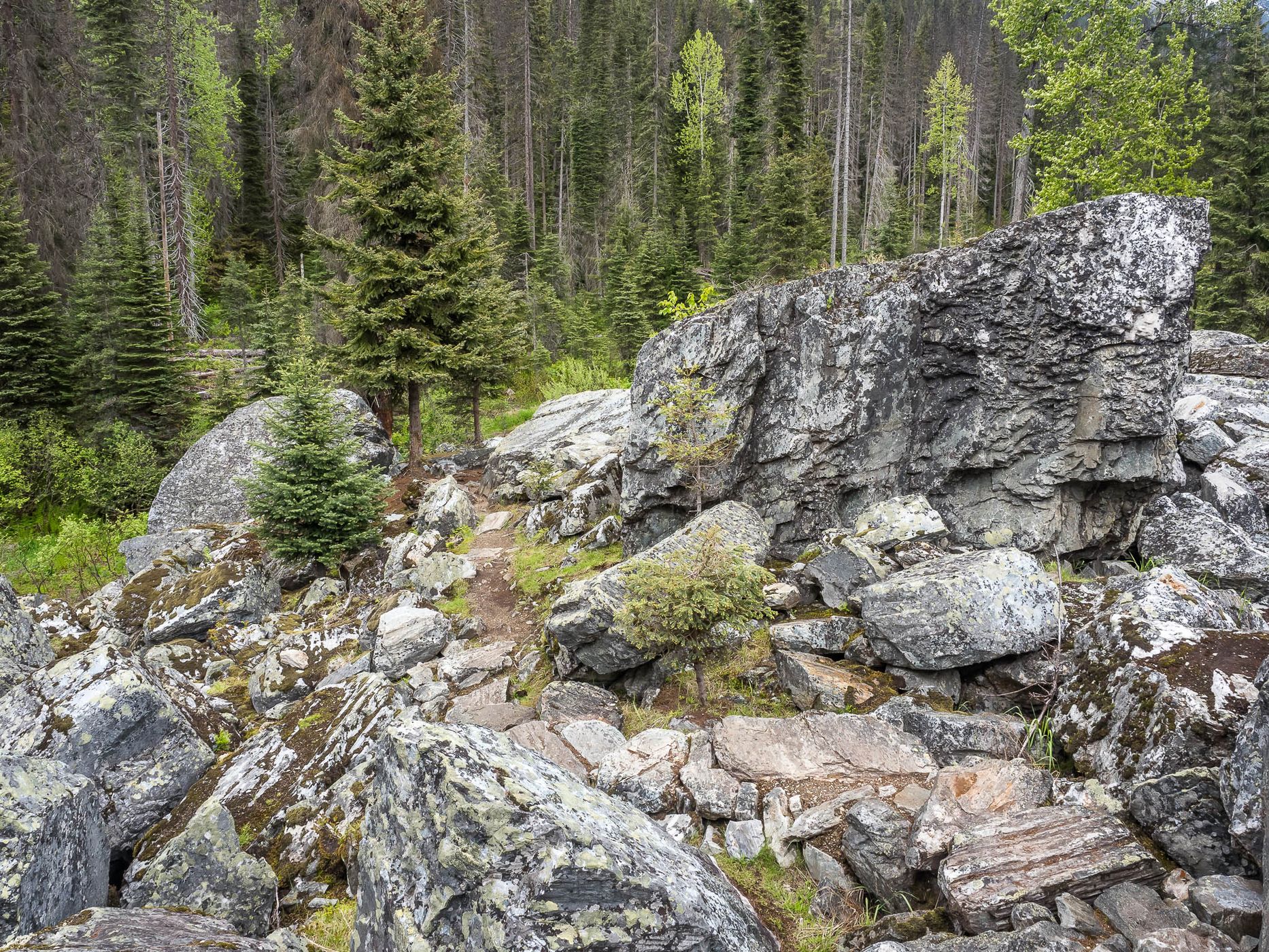 Rock Garden Trail, Canada