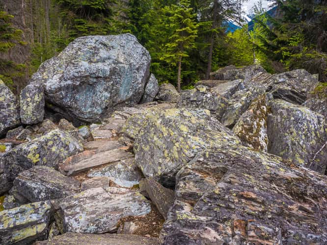 Rock Garden Trail