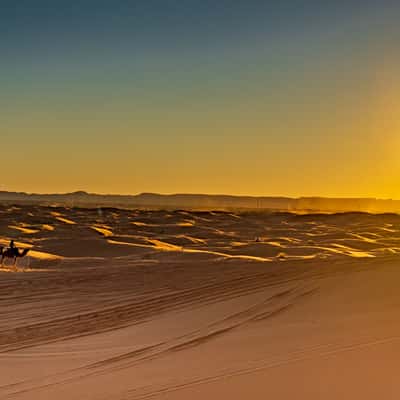 Sahara desert, Morocco