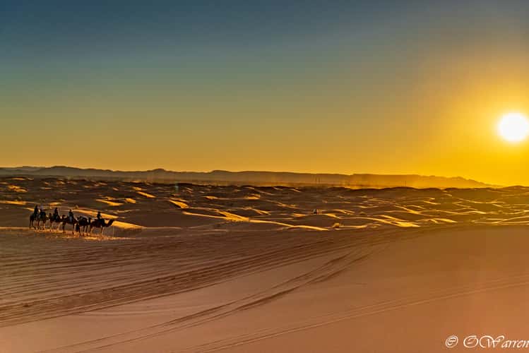 Sahara desert