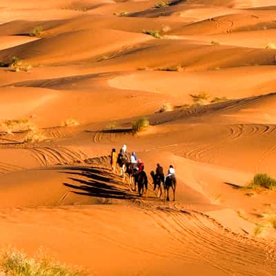 Sahara desert, Morocco