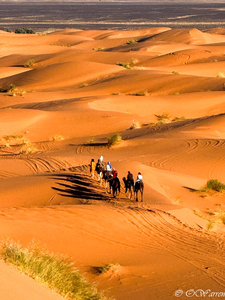 Sahara desert, Morocco