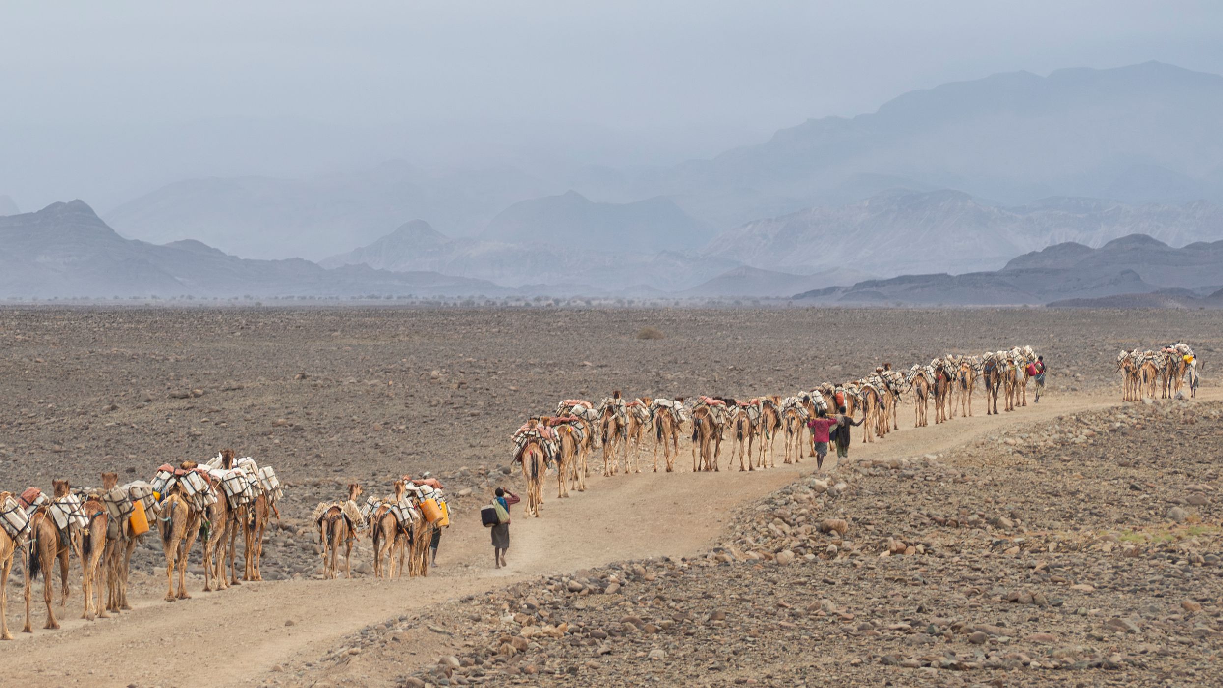 Salt transport, Ethiopia