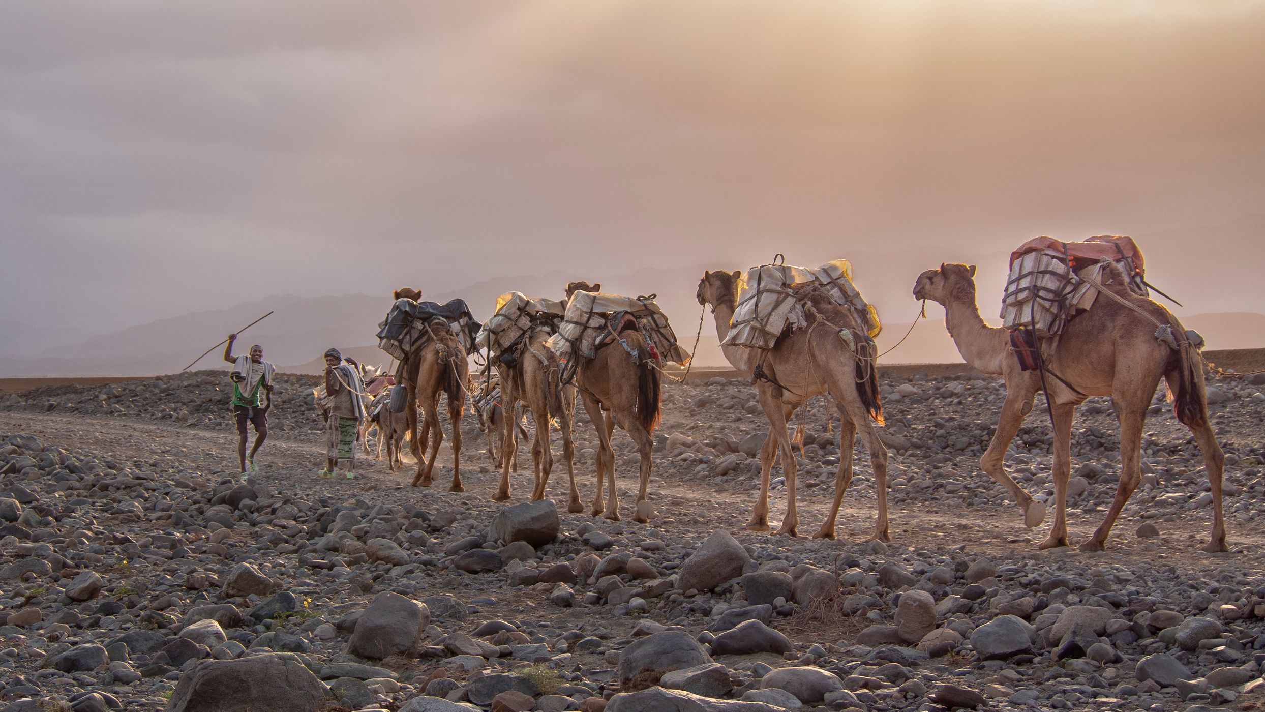 Salt transport, Ethiopia