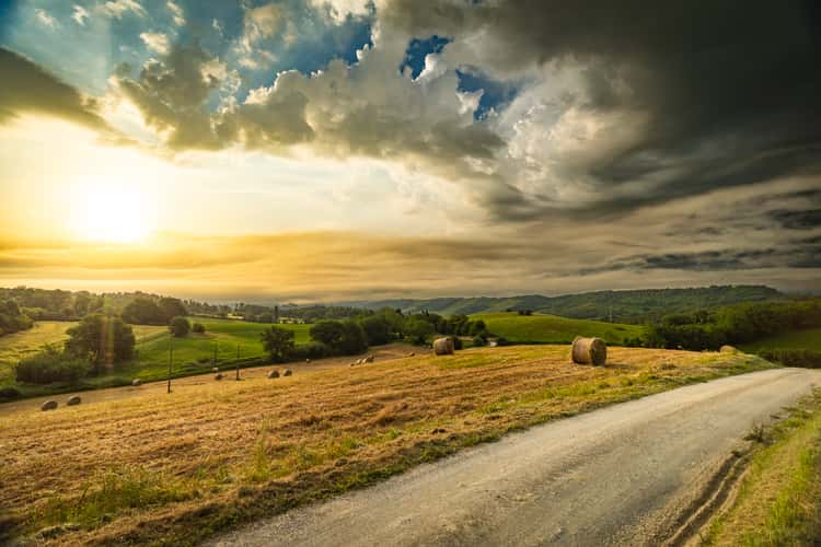 San Gimignano Countryside