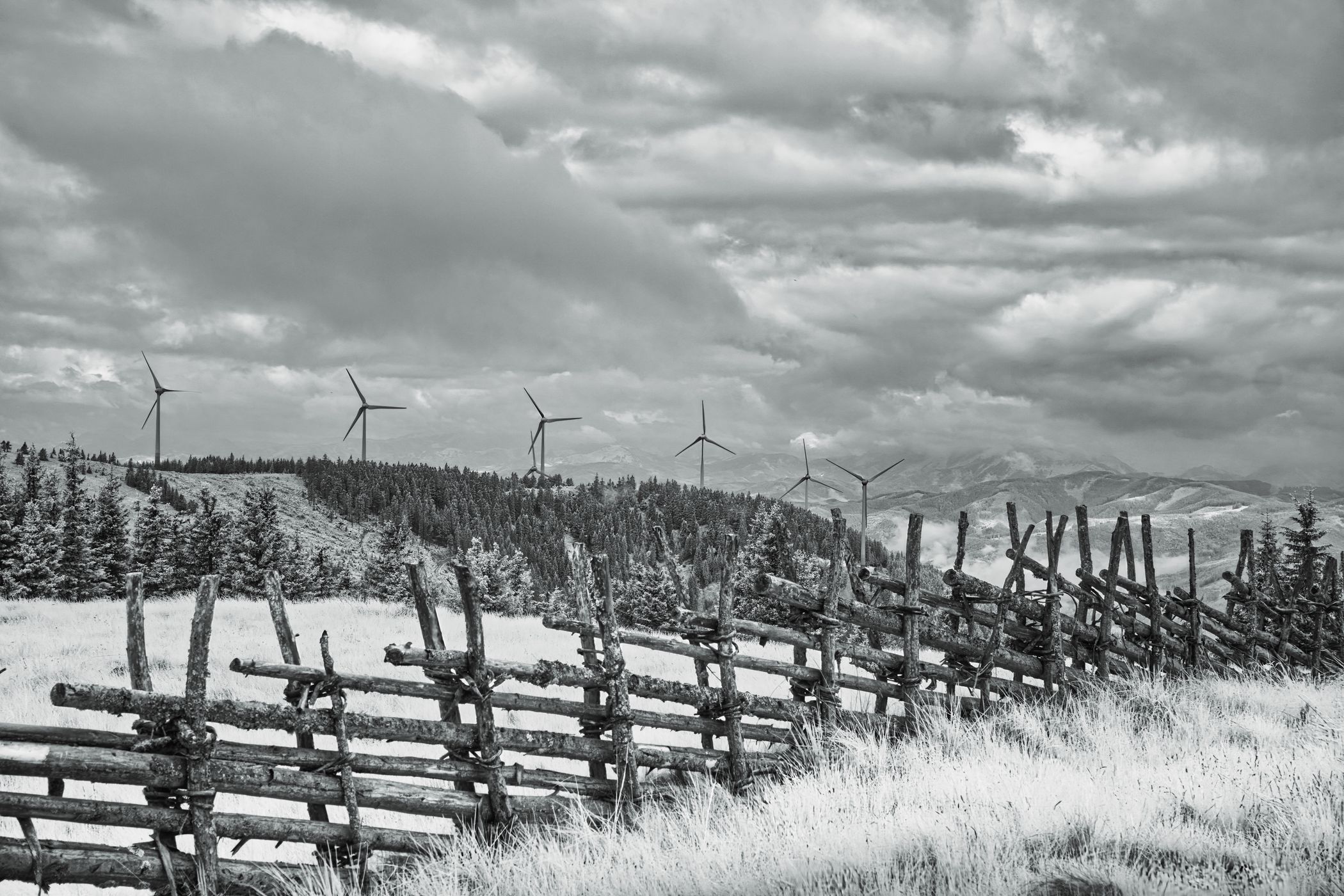 Schwarzriegel Moor, Austria