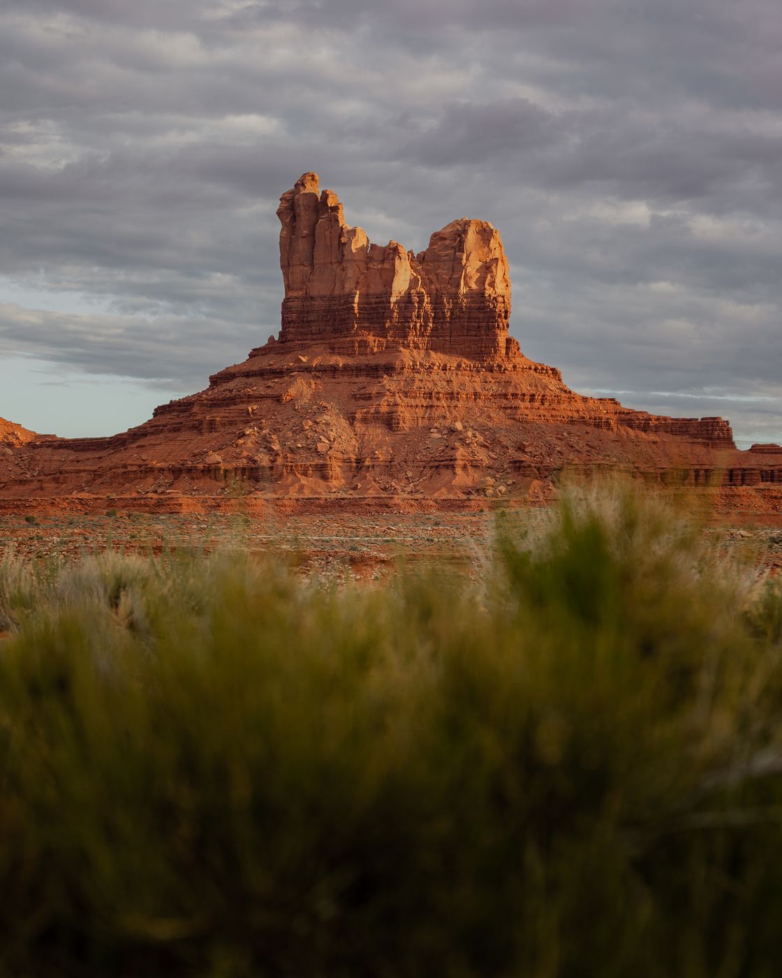 Setting Hen, USA
