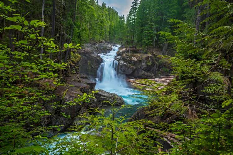 Silver Falls