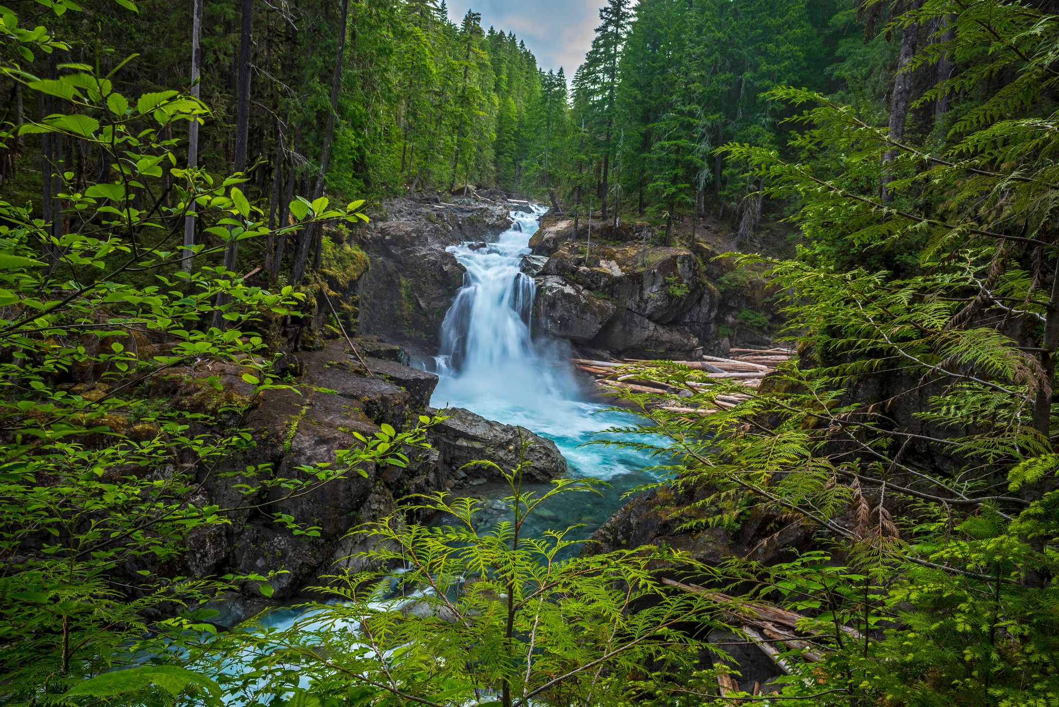 Silver Falls, USA