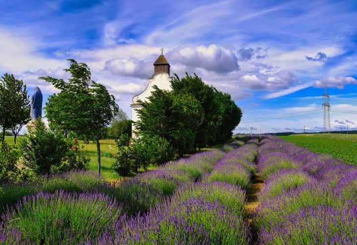 St. Rochus Chapel and Lavender Field