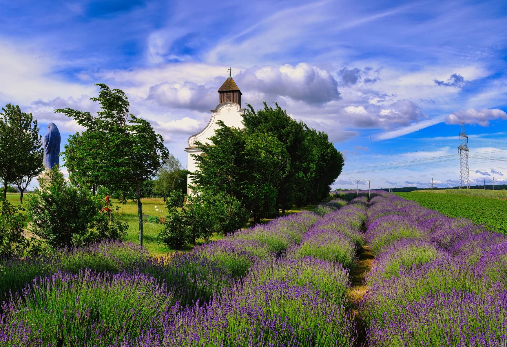 St. Rochus Chapel and Lavender Field, Austria