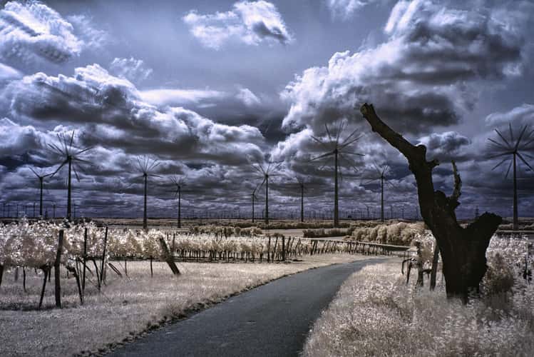 Storm catcher
