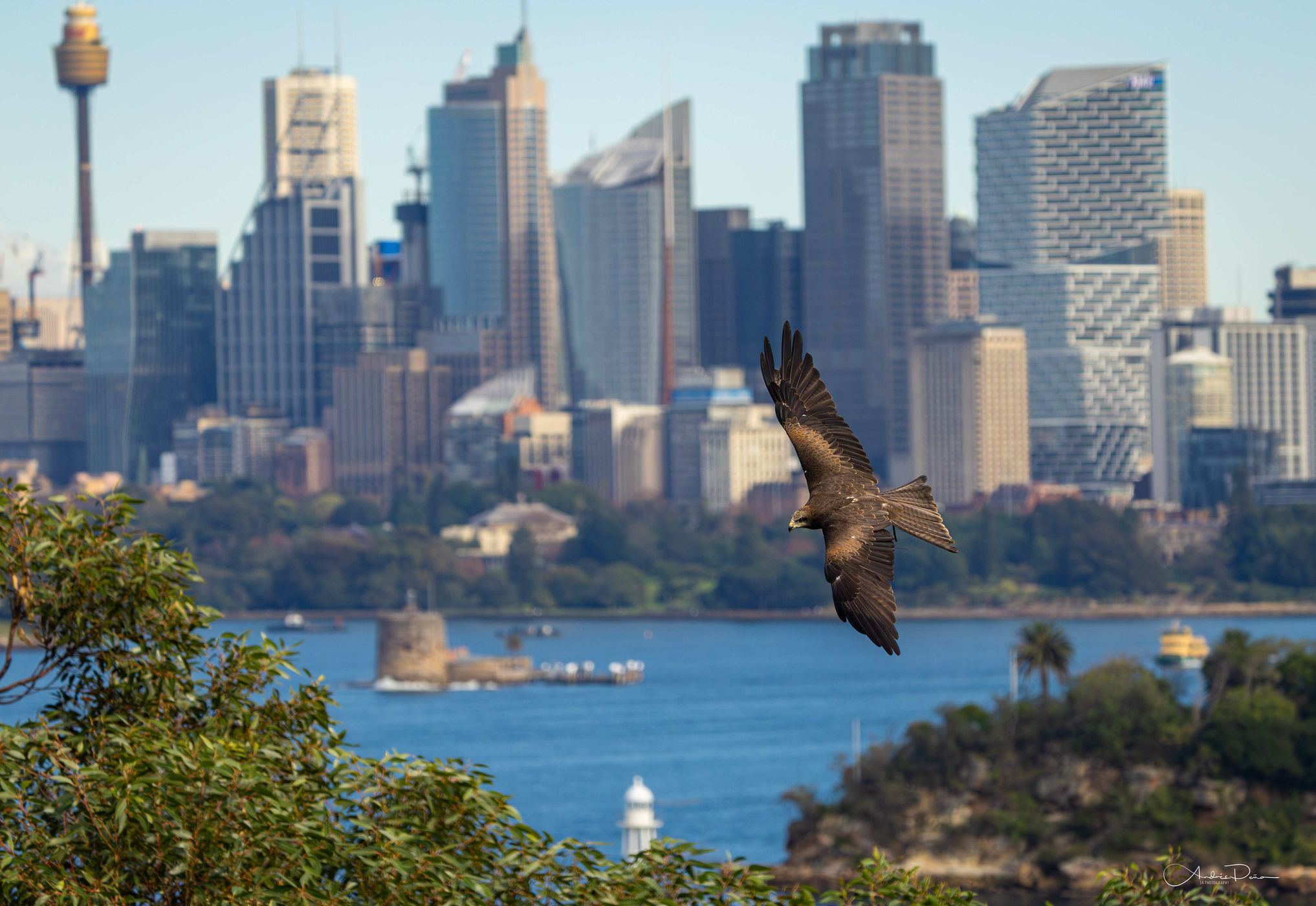 Taronga Zoo, Sydney, Australia