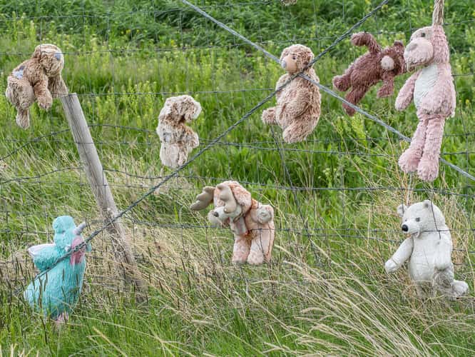 Teddy Bear Fence
