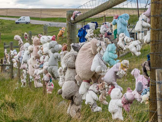 Teddy Bear Fence