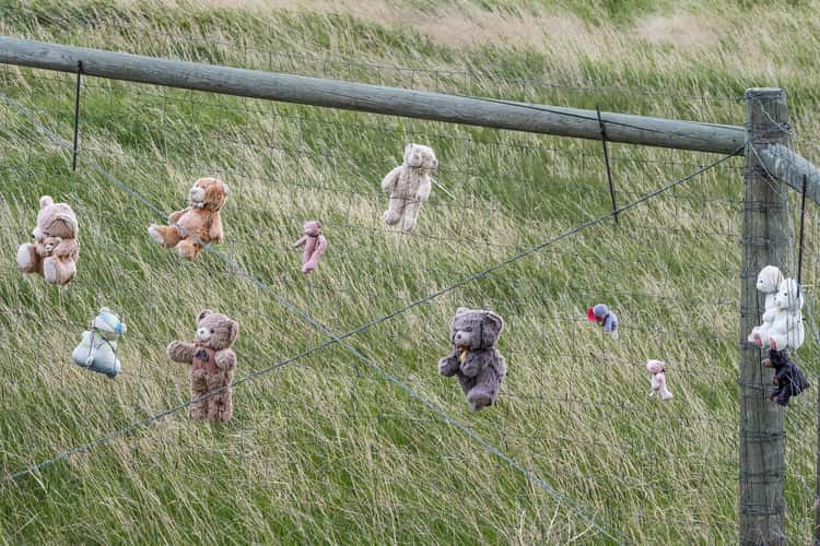 Teddy Bear Fence