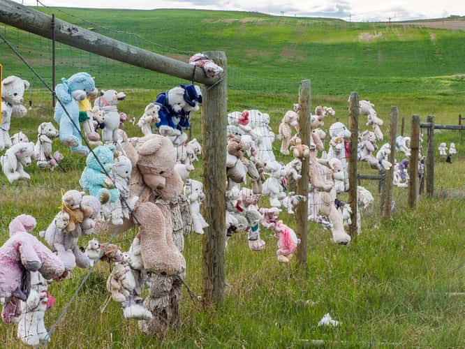 Teddy Bear Fence