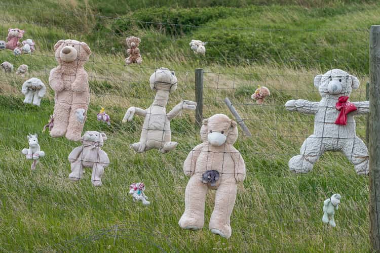 Teddy Bear Fence