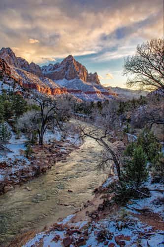 The Watchman
