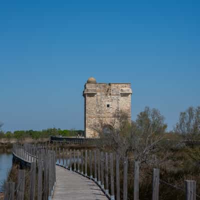 Tour Carbonniere, France
