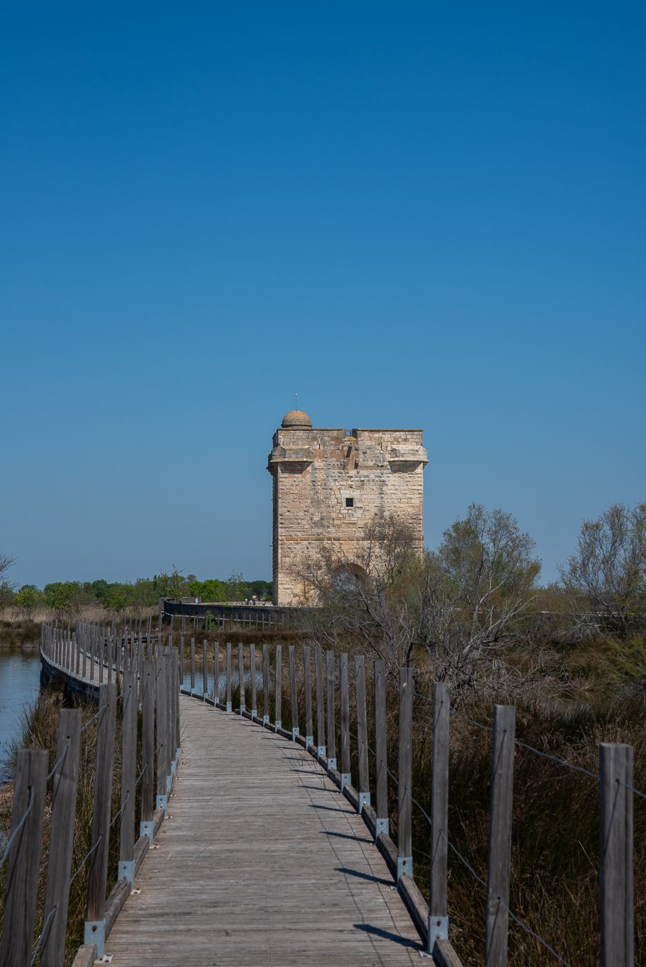 Tour Carbonniere, France