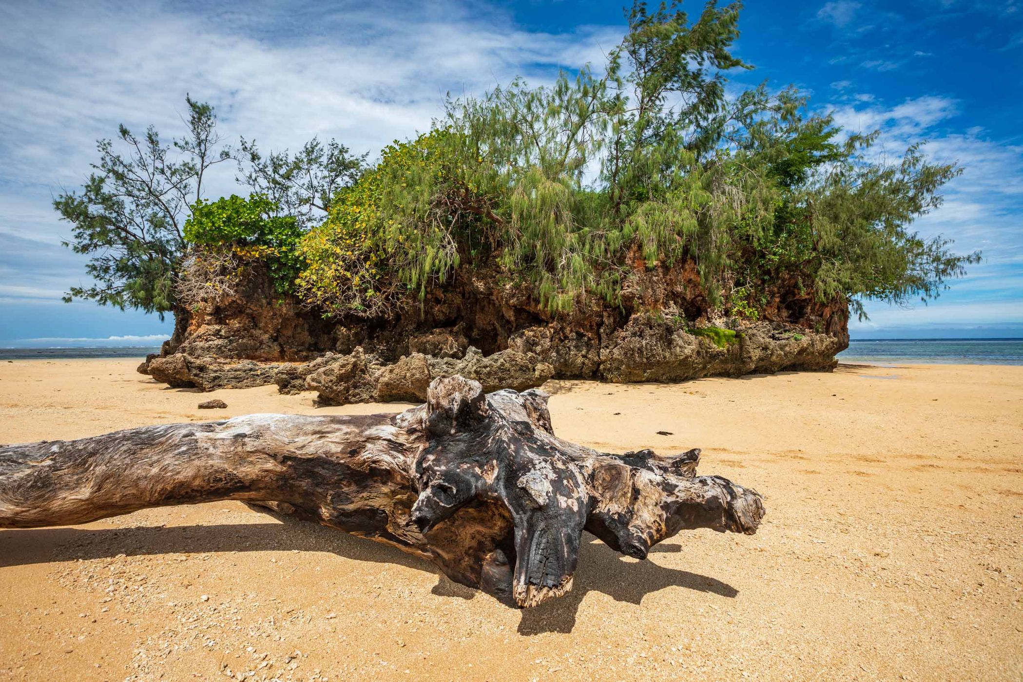 Tree and Island, Malomola, Fiji