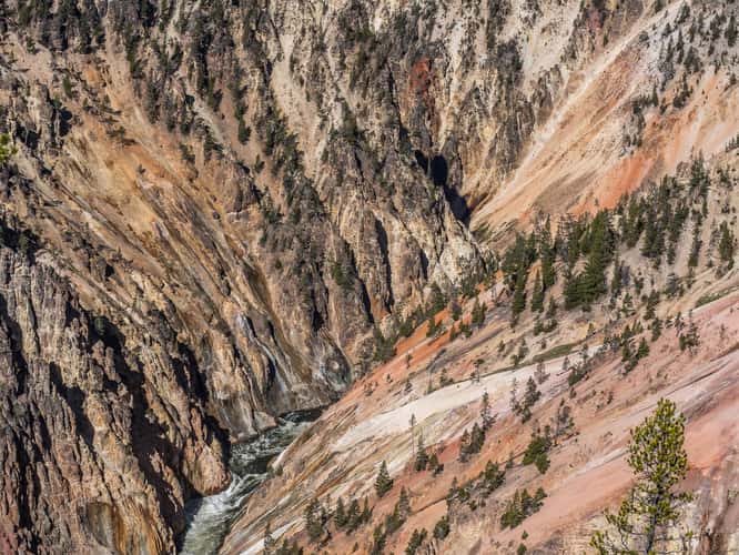 View of the Lower Falls, Yellowstone National Park
